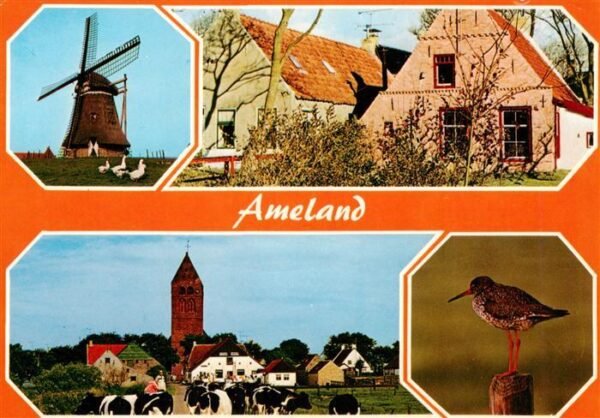 Ameland NL Muehle Ortspartien