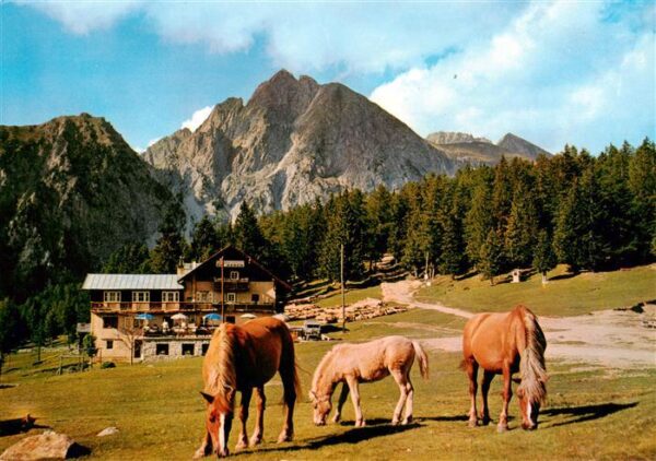 Hafling Avelengo-Falzeben IT Gasthof Alpenrose mit Ifinger und Haflinger Pferden