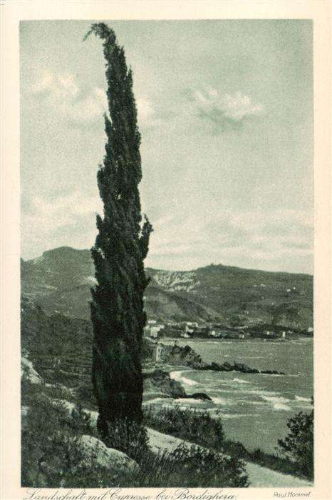 Bordighera IT Landschaft  mit Cypresse