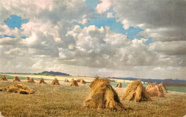 Verlag Photochromie Nr. Nr. 2839 Landwirtschaft