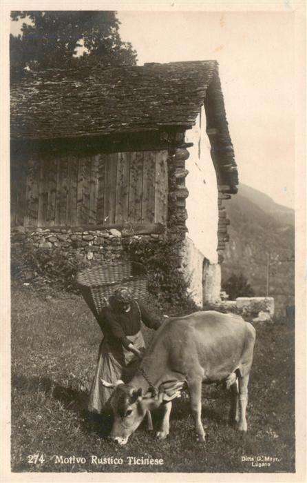 Landwirtschaft Motivo Rustico Ticinese KUh Frau