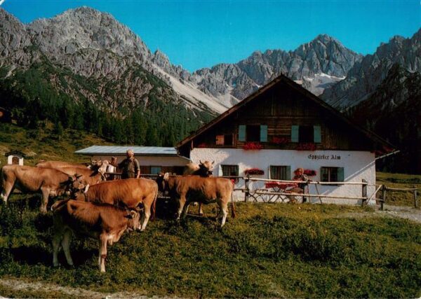 Telfs Tirol AT Eppzirler Alm Panorama