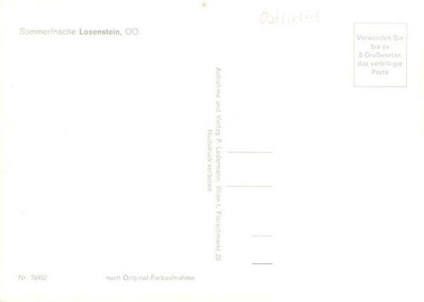 Losenstein Oberoesterreich AT Panorama – Bild 2