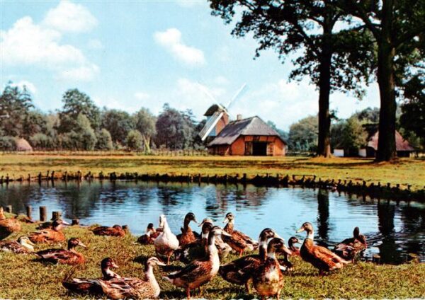 Bokrijk Belgie Provinciaal Domein