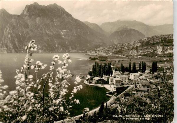 Torbole Lago di Garda IT Primavera sul lago di Garda