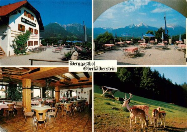 Berchtesgaden Berggasthof Oberkaelberstein Gastraum Freiterrasse Rotwild