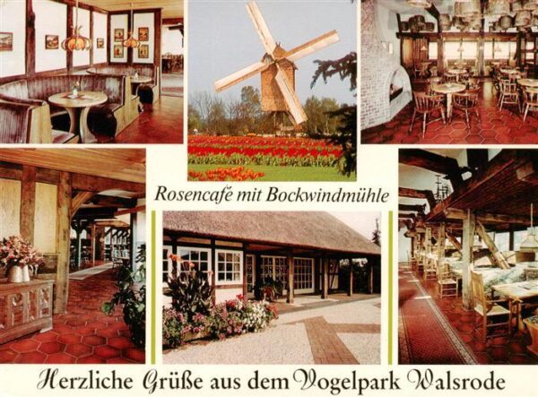 Walsrode Lueneburger Heide Vogelpark Walsrode Rosencafe mit Bockwindmuehle Gastr