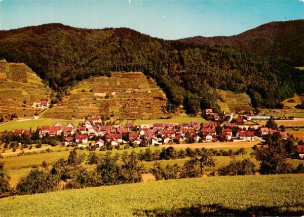 Glottertal Schwarzwald Panorama