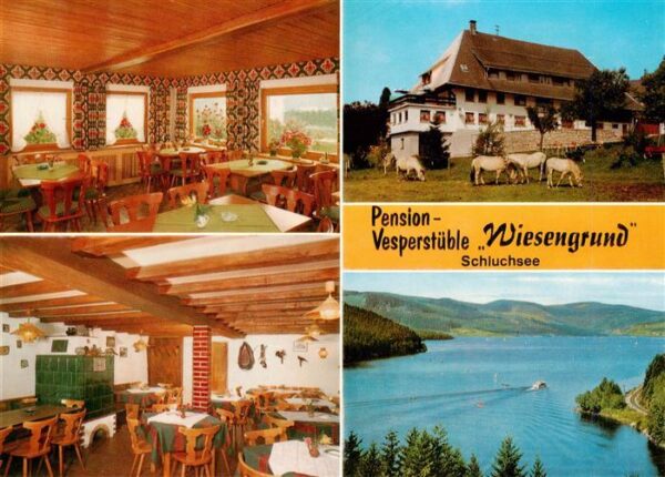 Schluchsee Pension Vesperstueble Wiesengrund Gastraum Panorama Schluchsee Feldbe