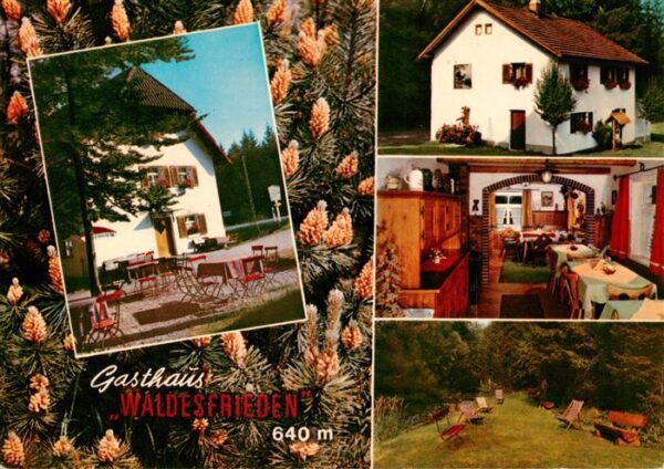 Ludwigsthal Gasthaus Pension Waldesfrieden Gastraum Terrasse Garten