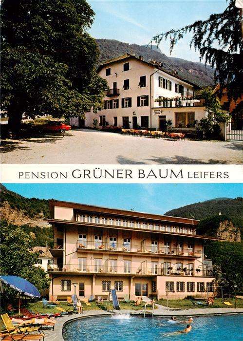 Leifers Laives Bozen Suedtirol IT Pension Gruener Baum