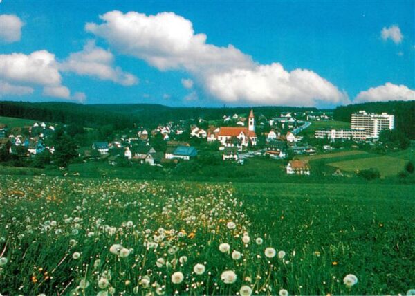 Waldachtal Kurklinik Sonnenhof Panorama
