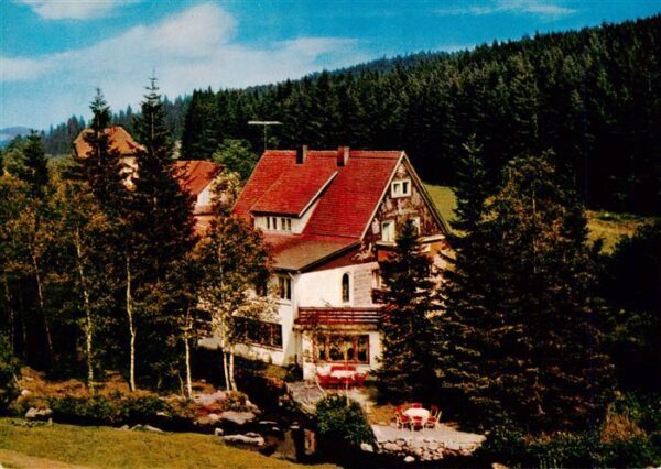 Schoenwald Schwarzwald Inselklause Gaststaette Pension