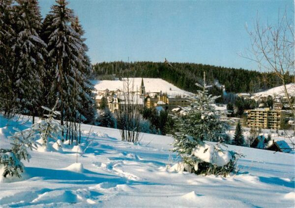 Schoenwald Schwarzwald Panorama Wintersportplatz