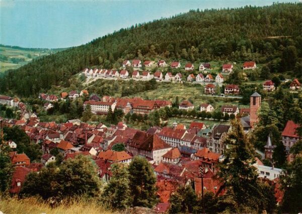 Triberg Fliegeraufnahme