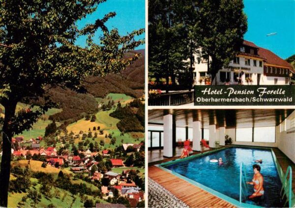 Oberharmersbach Hotel Pension Forelle Hallenbad Panorama