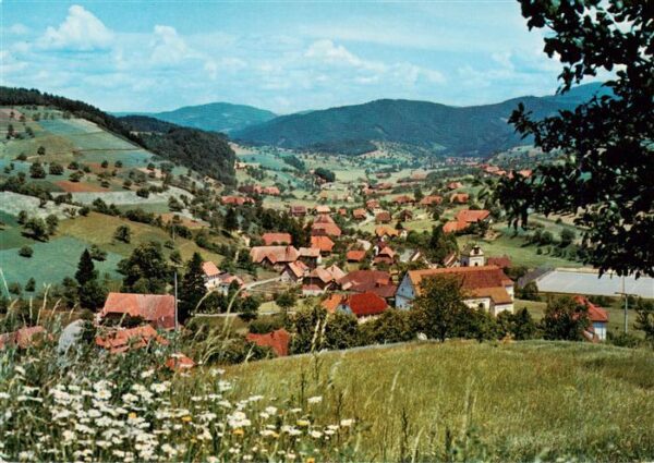 Welschensteinach Steinach Panorama