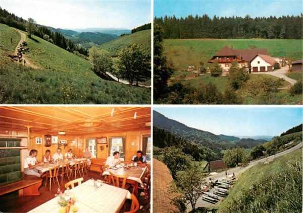 Oberharmersbach Harkhof Gaststube Panorama