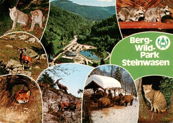 Todtnau Berg Wildpark Steinwasen Teilansichten