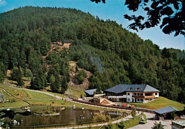 Todtnau Berg Wildpark Steinwasen