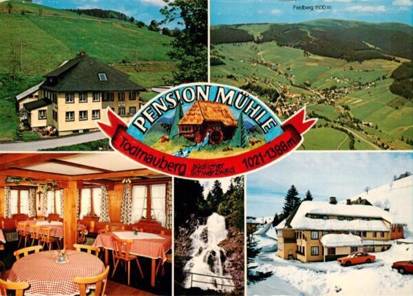 Todtnauberg Pension Muehle Gaststube Wasserfall Feldberg