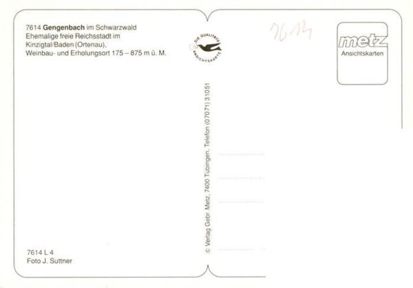 Gengenbach Fachwerkhaeuser Kirche Panorama – Bild 2
