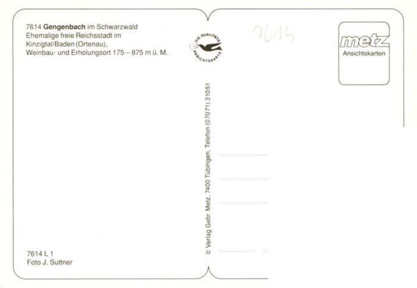 Gengenbach Panorama Brunnenfigur – Bild 2