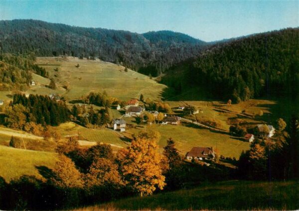 Ruette Todtmoos Panorama
