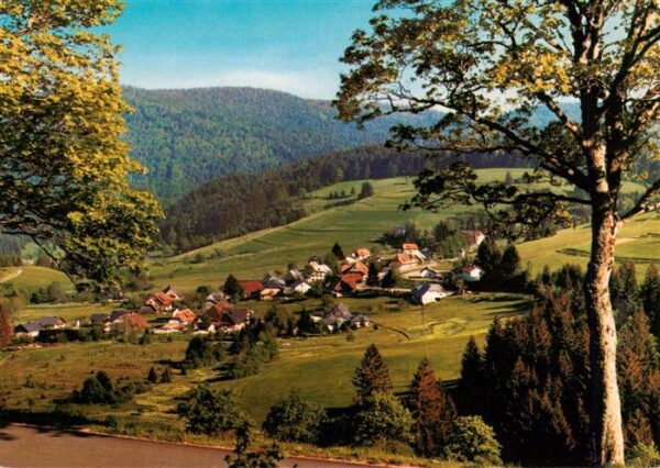 Weg Todtmoos Panorama