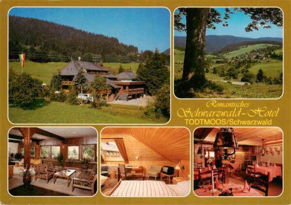 Todtmoos Romantisches Schwarzwaldhotel Gastraeume Zimmer Panorama