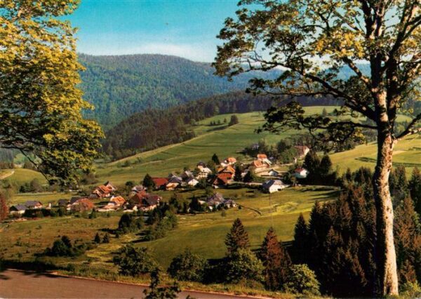 Weg Todtmoos Panorama