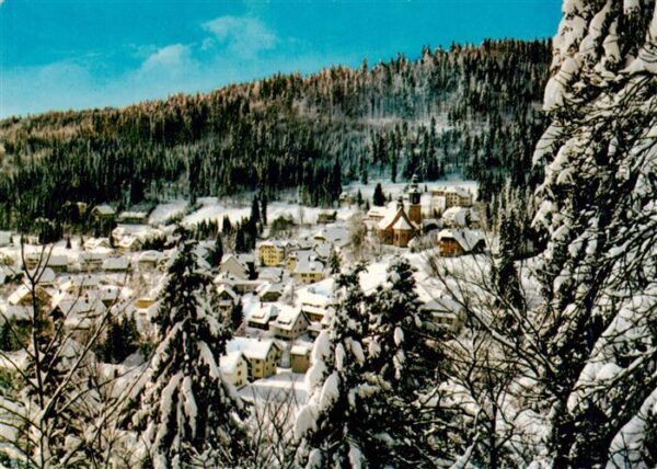 Todtmoos Winterpanorama