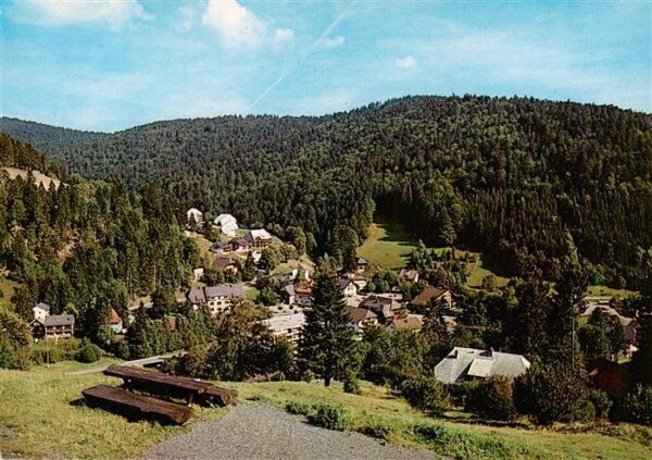 Todtmoos Fliegeraufnahme mit Koepfleblick