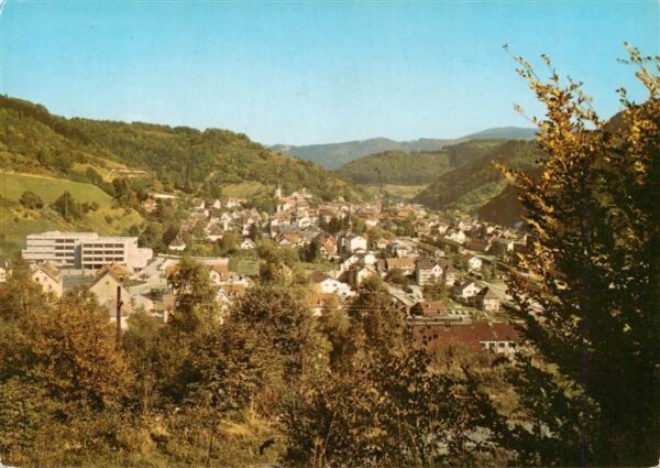 Zell Wiesental Gasthof Pension Dreikoenig Panorama