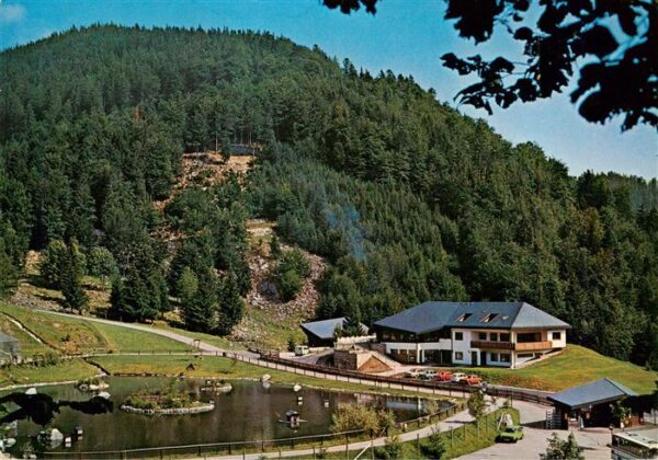 Todtnau Berg Wild Park Steinwasen