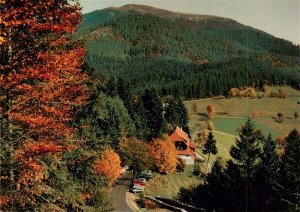 Neuenweg Gasthof Pension Haldenhof Panorama