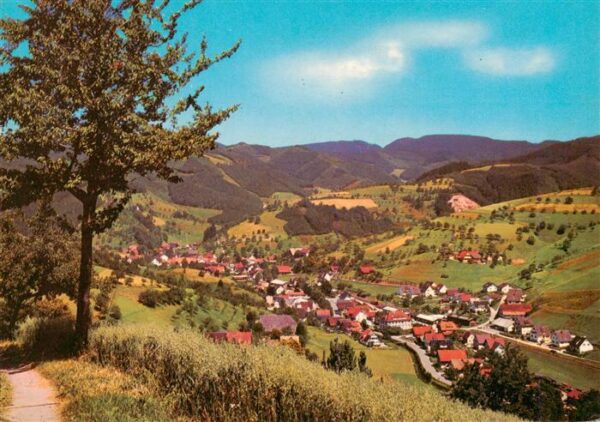 Oberharmersbach Panorama Schwarzwald