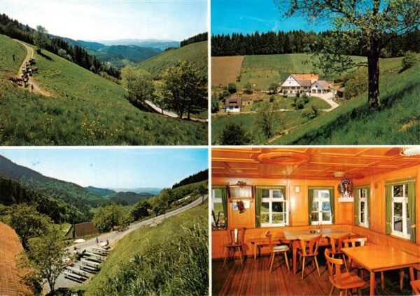 Oberharmersbach Harkhof Gastraum Landschaftspanorama Schwarzwald