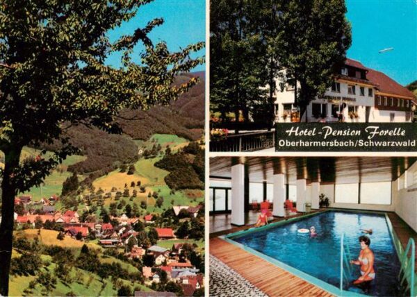 Oberharmersbach Hotel Pension Forelle Hallenbad Panorama