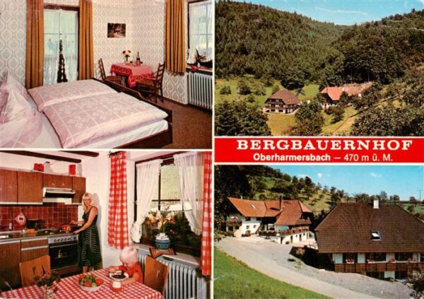 Oberharmersbach Bergbauernhof Gaststube Zimmer Panorama