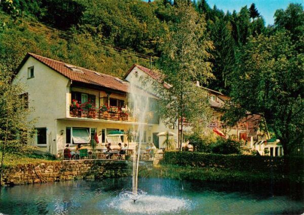 Loecherberg Oberharmersbach Hotel Pension Schwarzwald Idyll Fontaene