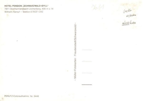 Loecherberg Oberharmersbach Hotel Pension Schwarzwald Idyll Fontaene – Bild 2