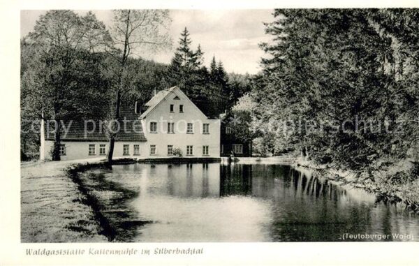Horn Lippe Waldgaststaette Kattenmuehle Silberbachtal Teutoburger Wald