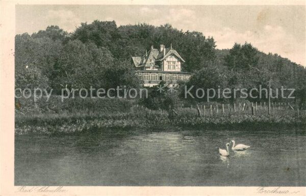Bad Salzuflen Forsthaus m. Schwaenen