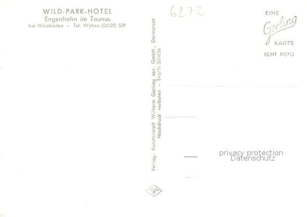 Engenhahn Wild-Park-Hotel Aussenansicht – Bild 2
