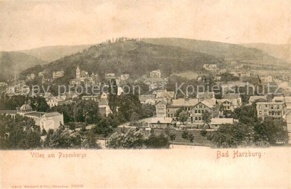 Bad Harzburg Villen am Papenberge