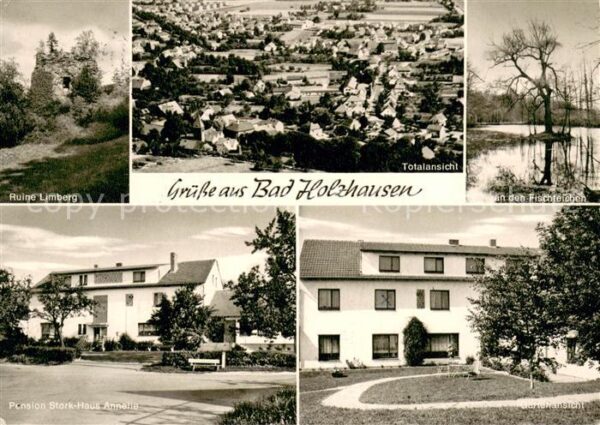 Bad Holzhausen Luebbecke Totalansicht Fischteich Gartenansicht Ruine-Limberg