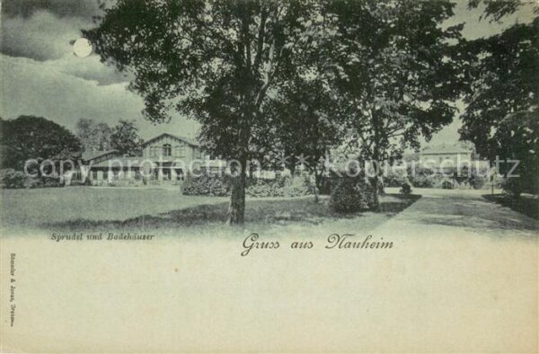 Nauheim Bad Sprudel und Badehaeuser Mondscheinkarte