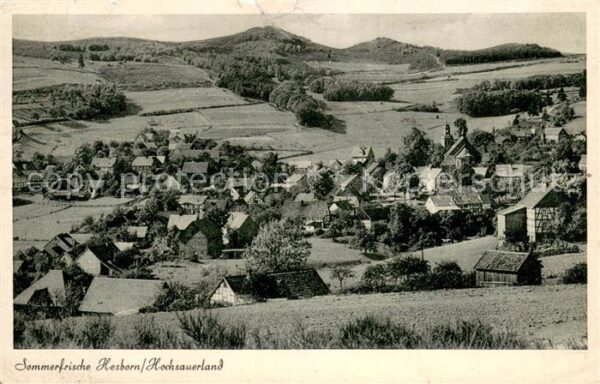 Hesborn Panorama