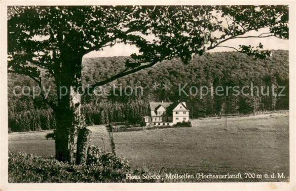 Mollseifen Haus Soeder